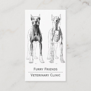 Tarjeta De Citas Ilustracion anatómico de perro Veterinario