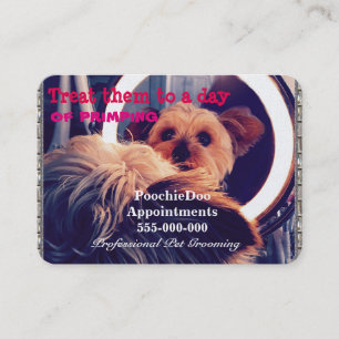 Tarjeta De Citas Mascota que prepara al profesional del chucho de