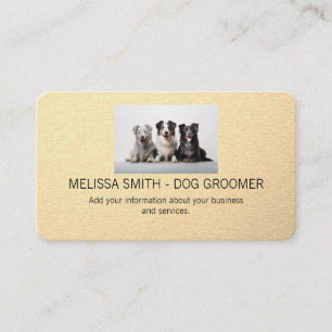 Tarjeta De Citas Perritos Lindos   Peluquero de Perros
