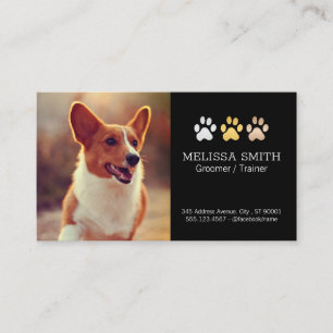 Tarjeta De Citas Perro en ejecución Perro entrenador y Groomer ap