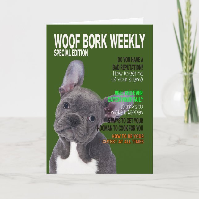 Tarjeta de cobertura de la revista Boston Terrier  (Anverso)