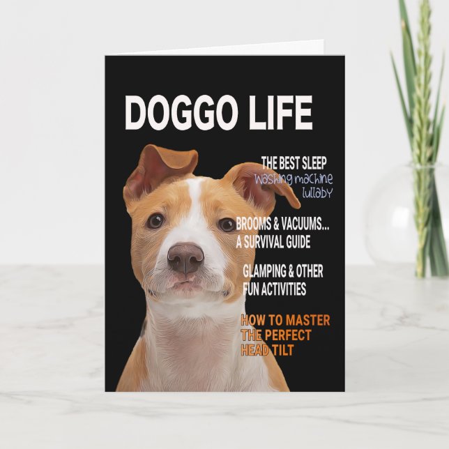 Tarjeta de cobertura Pitbull Parody Magazine (Anverso)