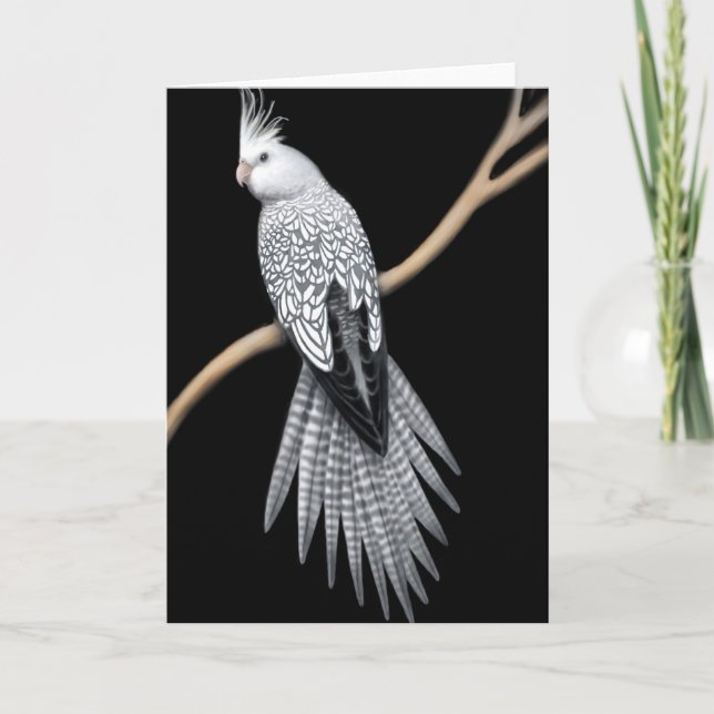 Tarjeta de Cockatiel Whitefaded Pearl (Anverso)