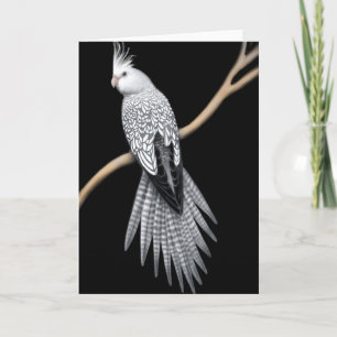 Tarjeta de Cockatiel Whitefaded Pearl