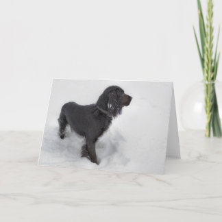 Tarjeta de cocker spaniel