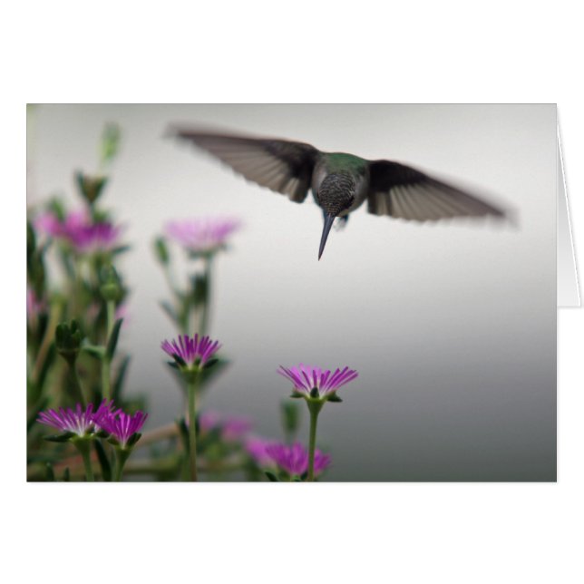 Tarjeta de colibrí distintiva (Anverso (Horizontal))