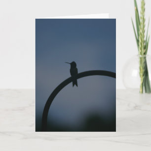 Tarjeta de colibrí masculina para el trébol