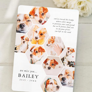 Tarjeta de Collage de fotos 10 simple mascota Memo