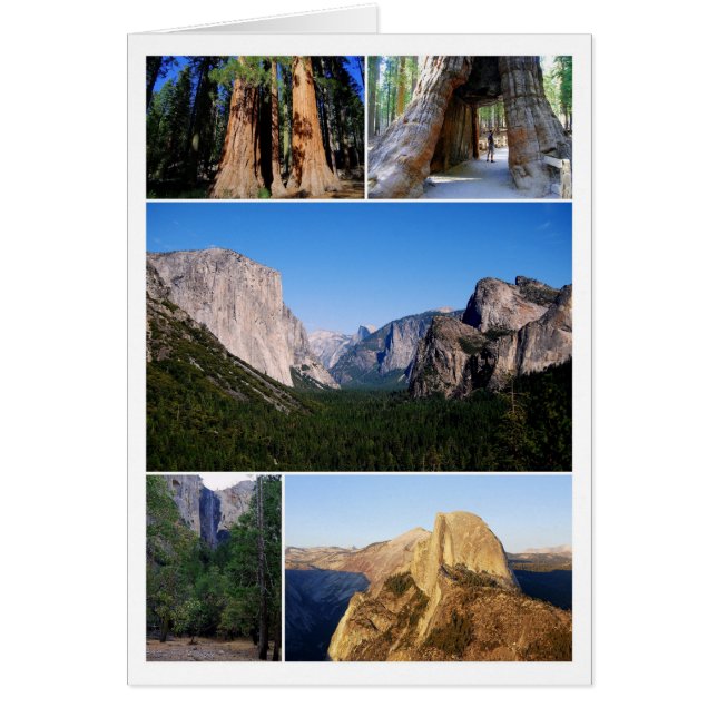 Tarjeta de Collage del Parque Nacional Yosemite (Frente)