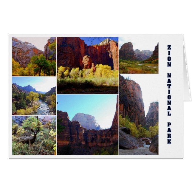 Tarjeta de Collage del Parque Nacional Zion (Anverso (Horizontal))