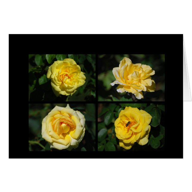 Tarjeta de collarín de rosas amarillas (Anverso (Horizontal))
