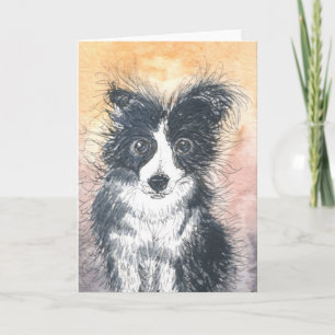 Tarjeta De Collie De Borde Cuidado, Para Los Entus