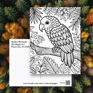 Tarjeta de color | Amazon Parrot