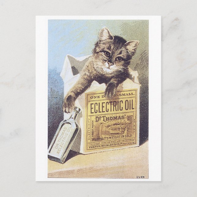 Tarjeta de comercio de Kitten con aceite eléctrico (Anverso)