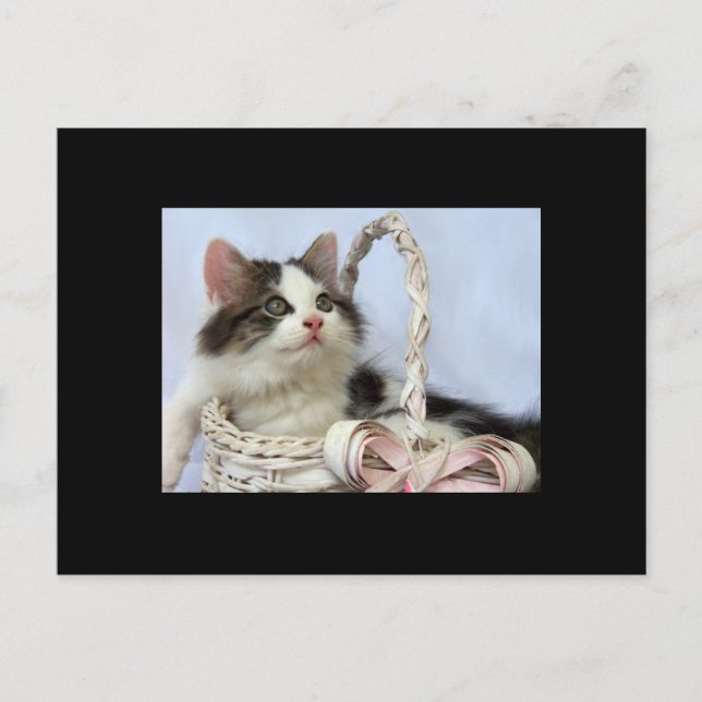 Tarjeta de comercio del arte del gatito ACEO de la (Anverso)