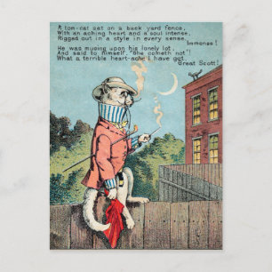 Tarjeta de comercio Dr. Morse Cat #1 (de 4)