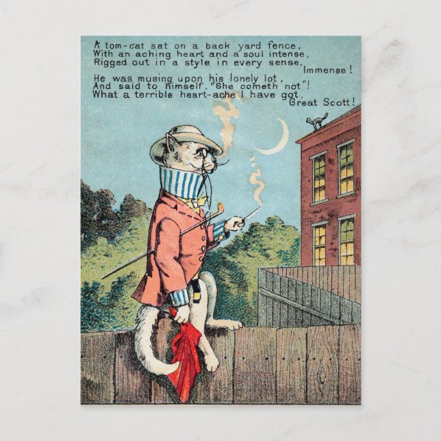 Tarjeta de comercio Dr. Morse Cat #1 (de 4) (Anverso)