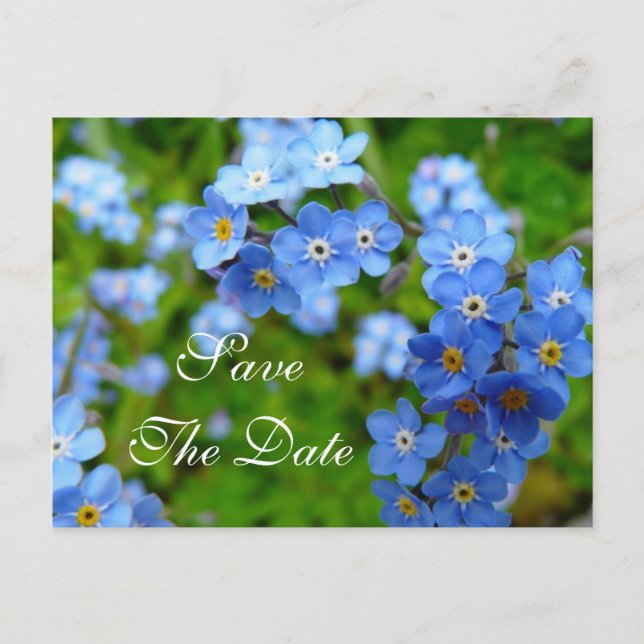 Tarjeta de compromiso de boda Flores No Me Olvides (Anverso)