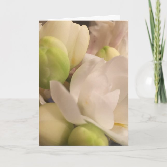 Tarjeta de condolencia (Anverso)