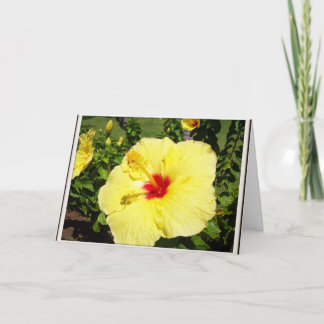 Tarjeta de condolencia amarilla de la flor