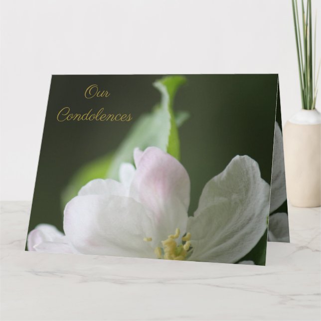 Tarjeta de condolencia Apple Blossom (Anverso)