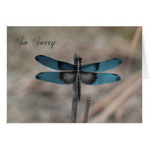 Tarjeta de condolencia azul de la naturaleza de la
