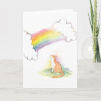 Tarjeta de condolencia blanca anaranjada del gato