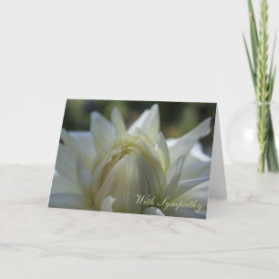 Tarjeta de condolencia blanca de la dalia