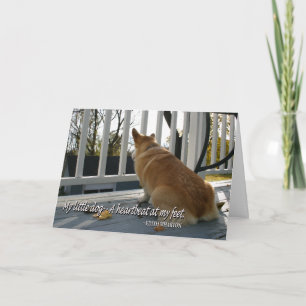 Tarjeta de condolencia canina