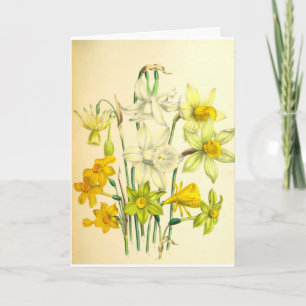 Tarjeta de condolencia de la flor del narciso