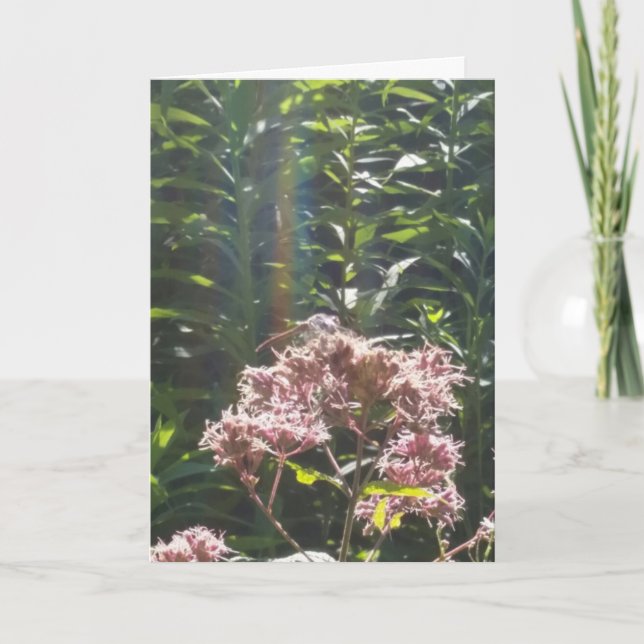 tarjeta de condolencia de la libélula (Anverso)