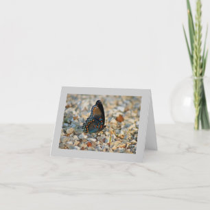 Tarjeta de condolencia de la mariposa