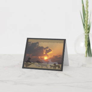 Tarjeta de condolencia de la puesta del sol del