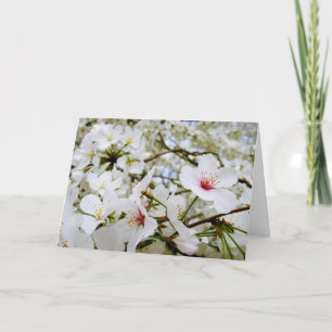 Tarjeta de condolencia de las flores de cerezo 5