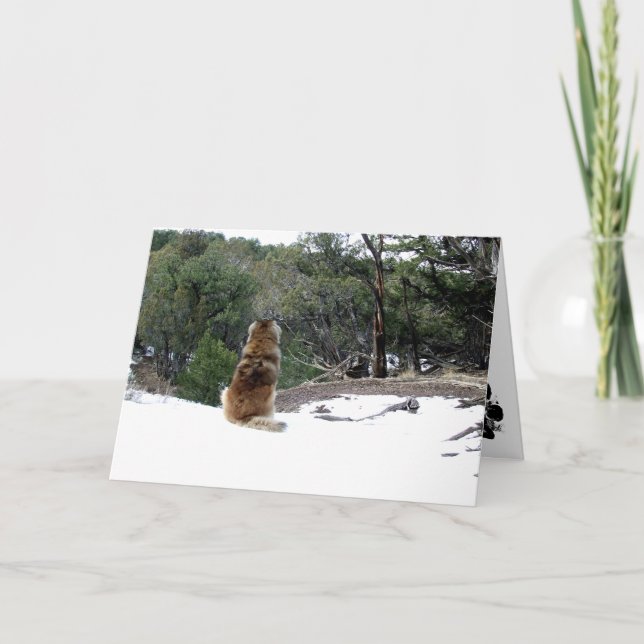 Tarjeta de condolencia de Leonberger (Anverso)