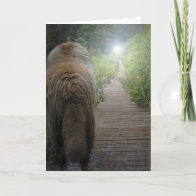 Tarjeta de condolencia de Leonberger (Anverso)