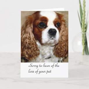 Tarjeta de condolencia de perro