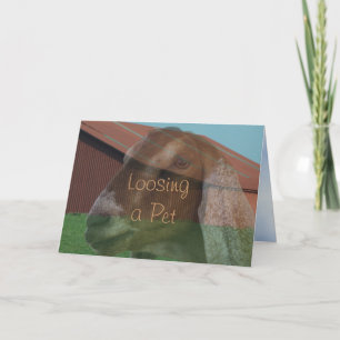 Tarjeta de condolencia de Vision de la gama de