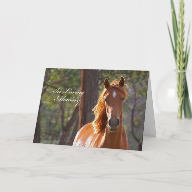 Tarjeta de condolencia del caballo (Anverso)