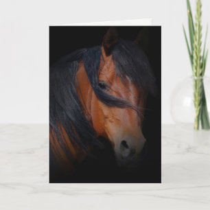 Tarjeta de condolencia del caballo para la pérdida