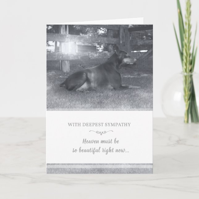 Tarjeta de condolencia del Doberman - el cielo (Anverso)
