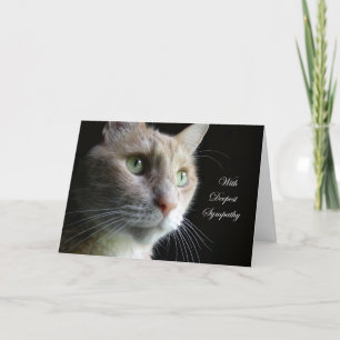 Tarjeta de condolencia del gato