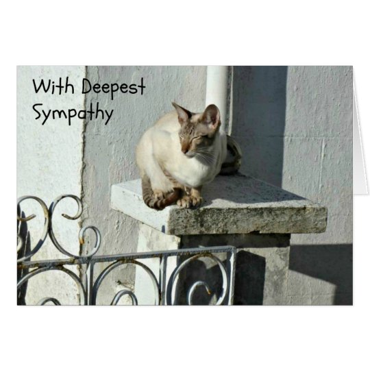 Tarjeta de condolencia del gato con el gato gris y