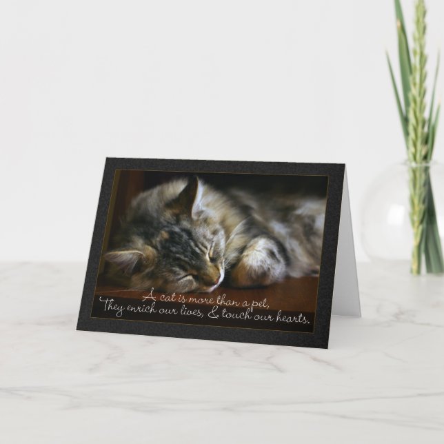 Tarjeta de condolencia del gato del mascota, (Anverso)