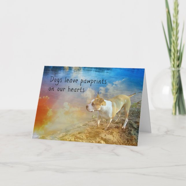 Tarjeta de condolencia del perro - los perros (Anverso)