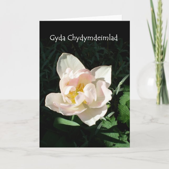 Tarjeta de condolencia del "tulipán" - saludo (Anverso)