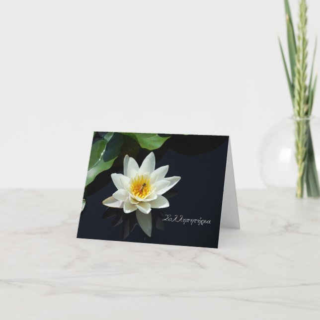 Tarjeta de condolencia griega con blanco waterlily (Anverso)