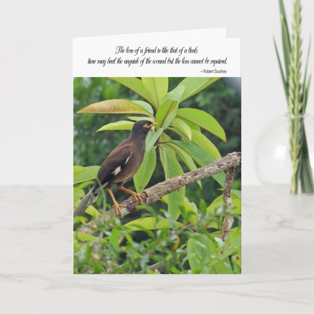 Tarjeta de condolencia - pérdida de un amigo (Anverso)
