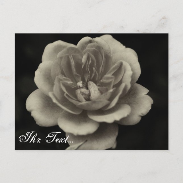 tarjeta de condolencias (Anverso)