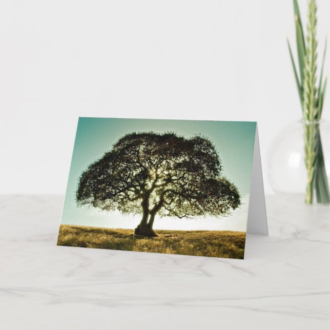 Tarjeta de condolencias con árbol (Anverso)